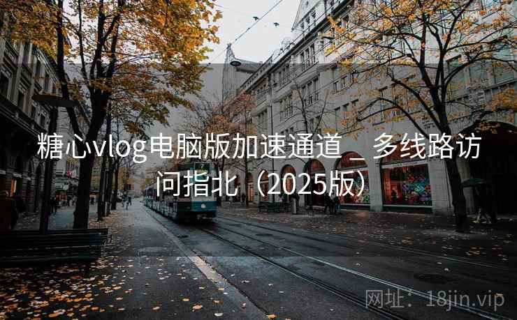 糖心vlog电脑版加速通道 _ 多线路访问指北（2025版）